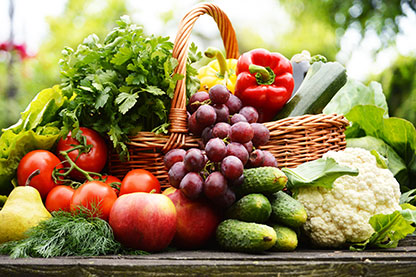 Agricultura, silvicultura, productos orgánicos, alimentos, bebidas ...
